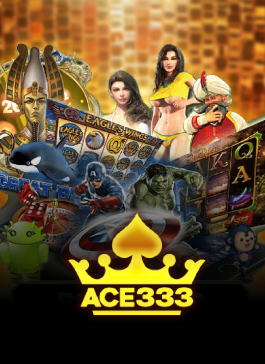 Provider_ACE333.png