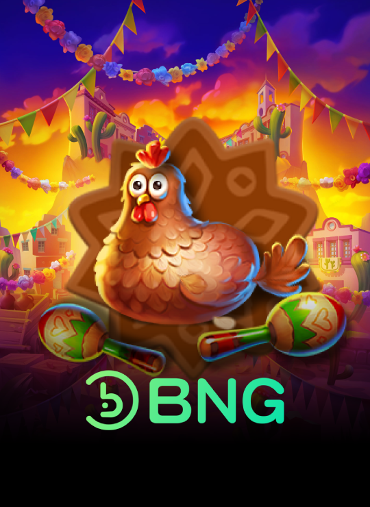 Provider_BNG.png