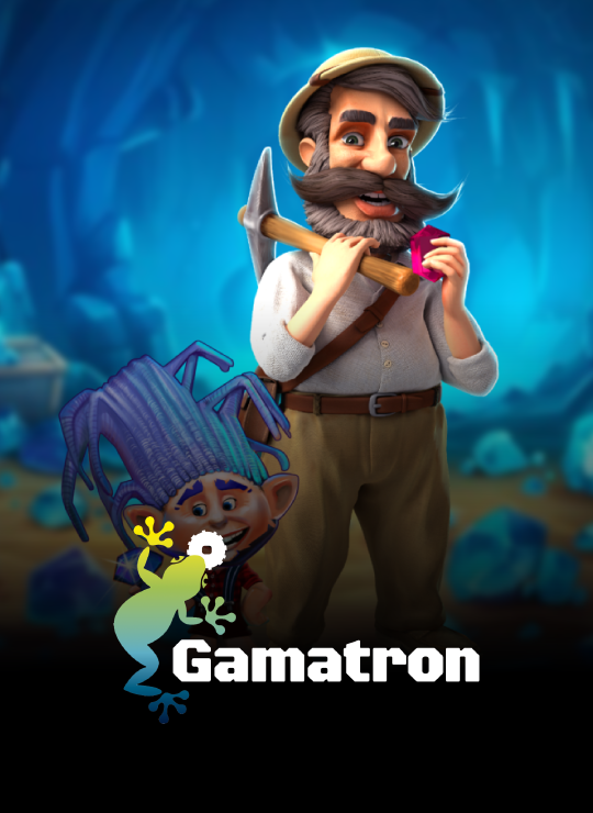 Provider_GAMATRON.png